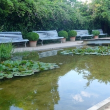 jardin paix (39)