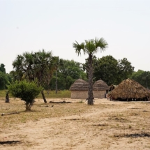 Tchad 2021 (74)
